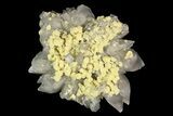 Sulfur Crystals on Selenite - Italy #92617-1
